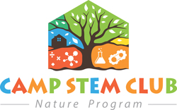 Gilbert summer camps